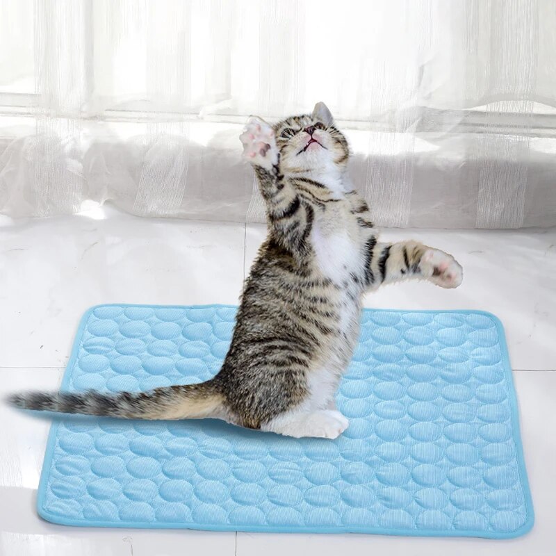 애완 동물 얼음 매트 여름 고양이 개 소파 둥지 침대  - Cooling Blanket Hot Sleepers 리뷰 및 가격